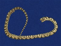 高砂蛇藏品圖，第9張